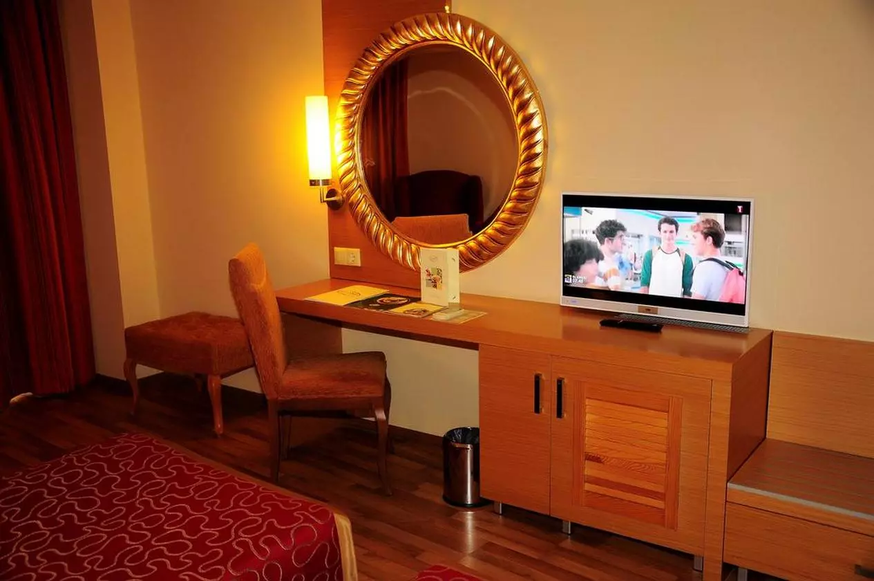 ALAIYE_SHABAVIZ (8).jpg